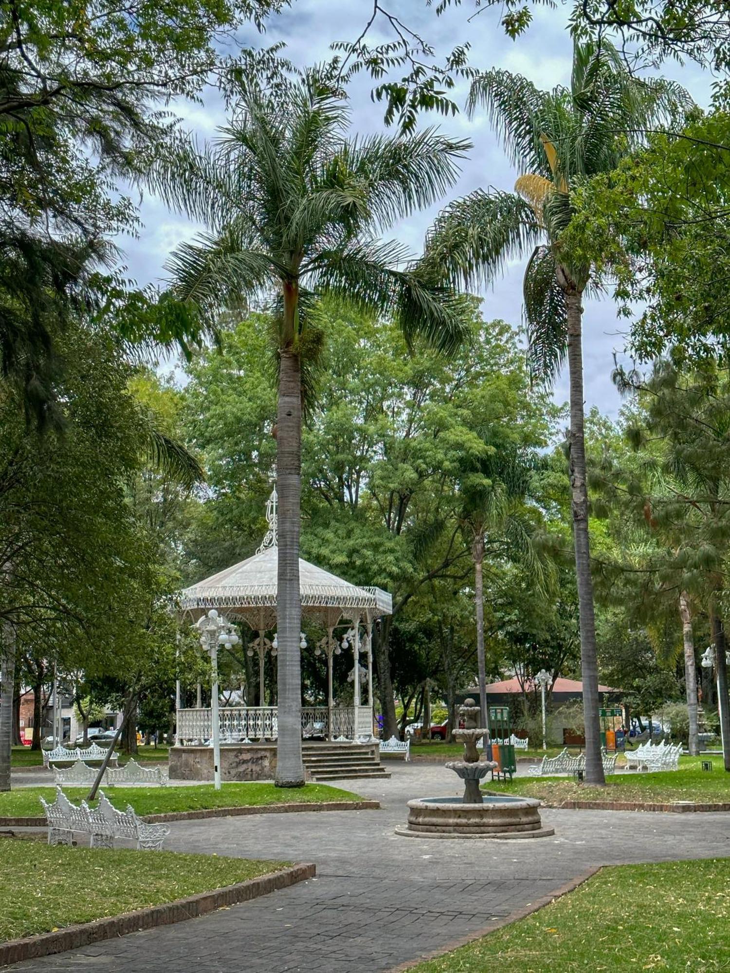 Suite/ Terraza En La Glorieta Chapalita