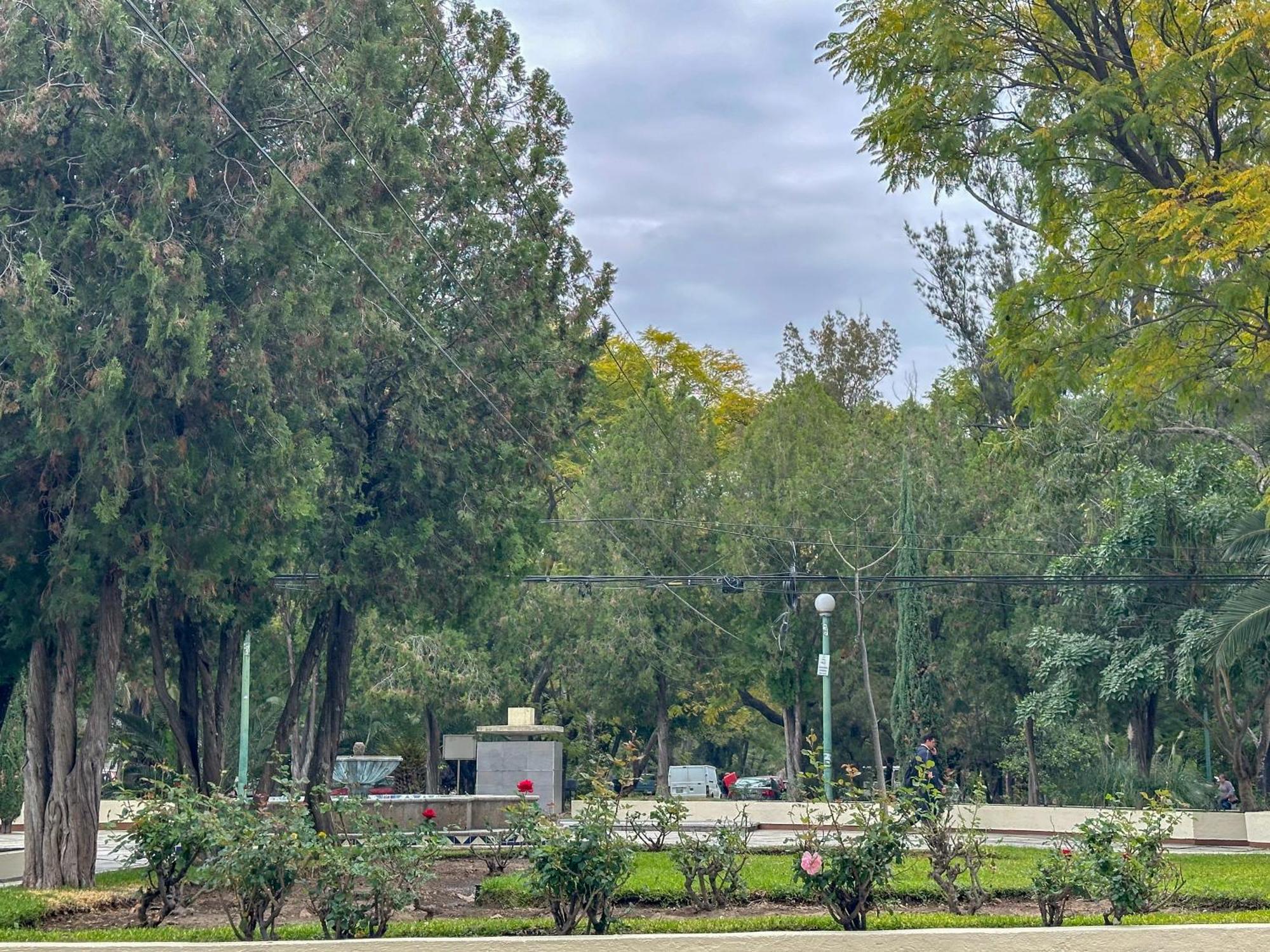 Apartamento Suite/ Terraza En La Glorieta Chapalita